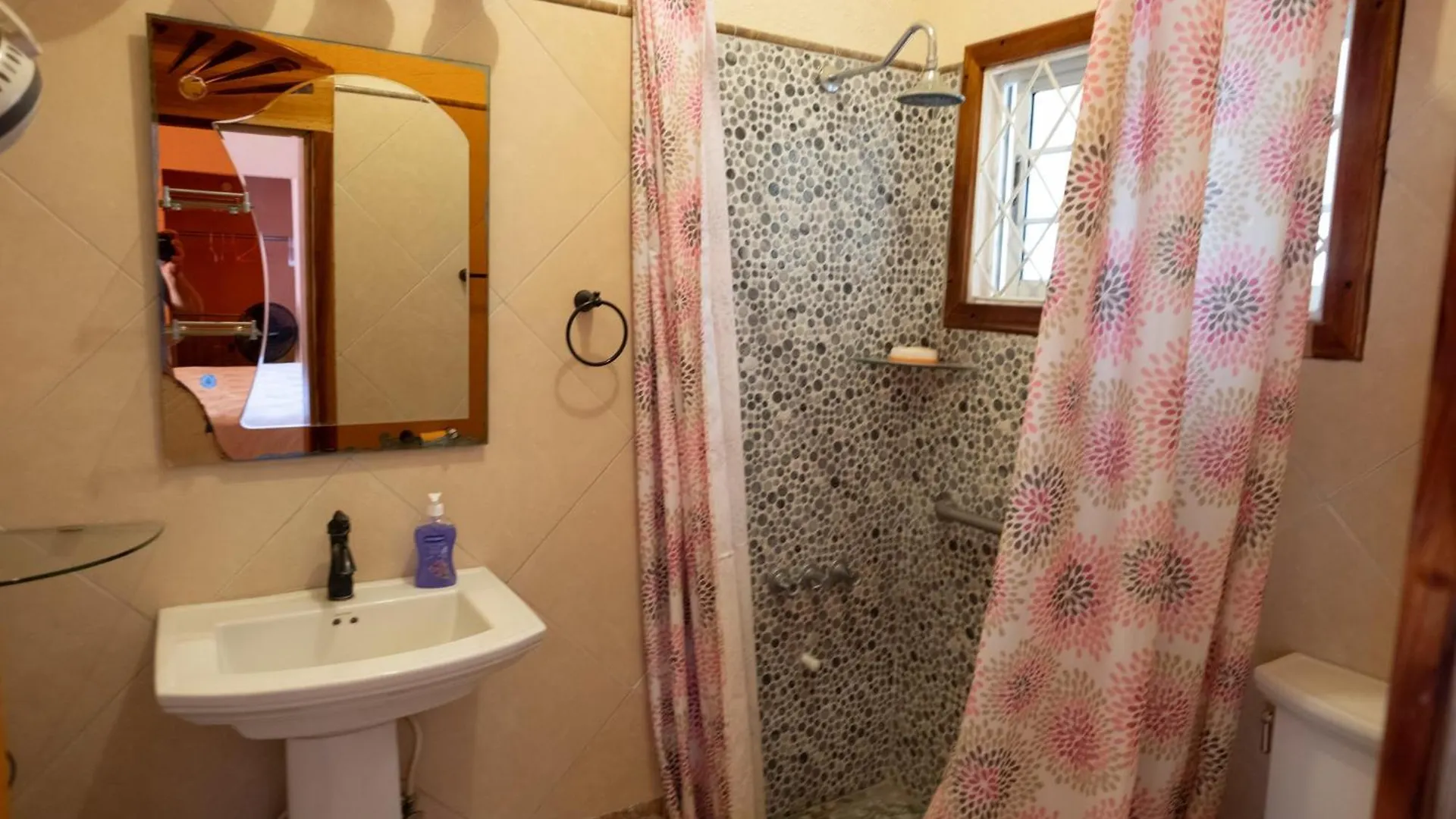 Indigo Beach Villa Black River 0*,